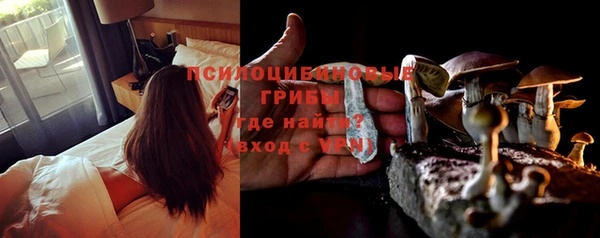PSILOCYBIN Гусев