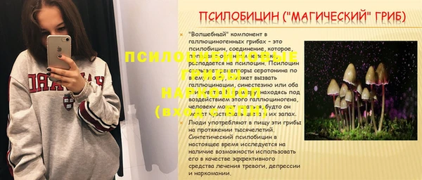 PSILOCYBIN Гусев