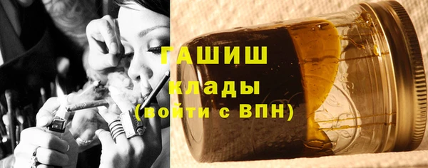PSILOCYBIN Гусев