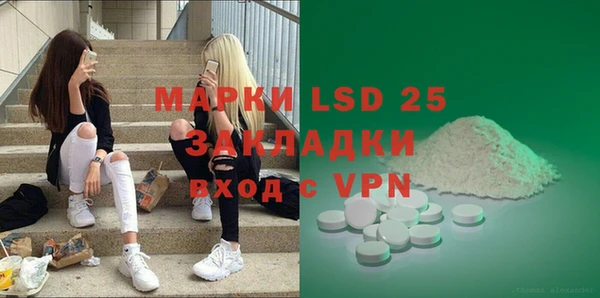 PSILOCYBIN Гусев